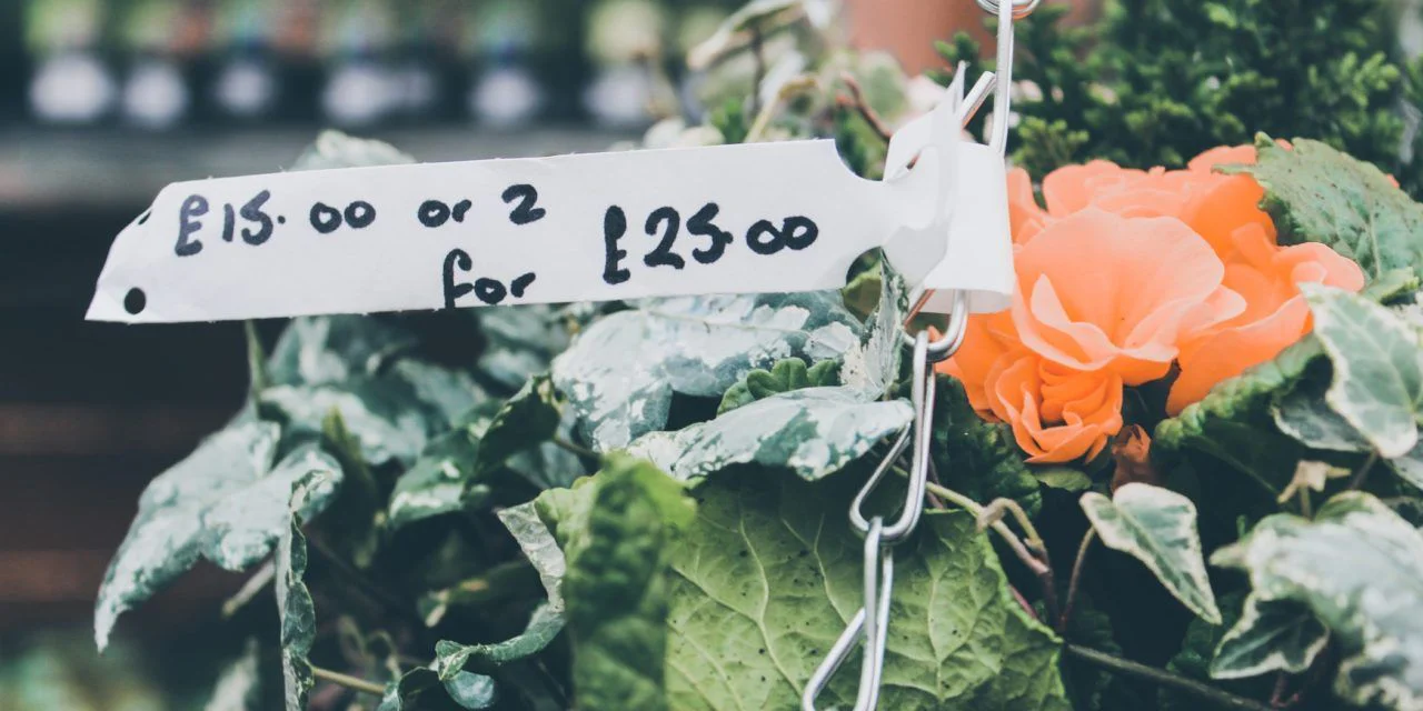 Pricing on websites; to list or not to list??? Sarah’s view