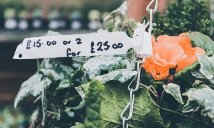 Pricing on websites; to list or not to list??? Sarah’s view
