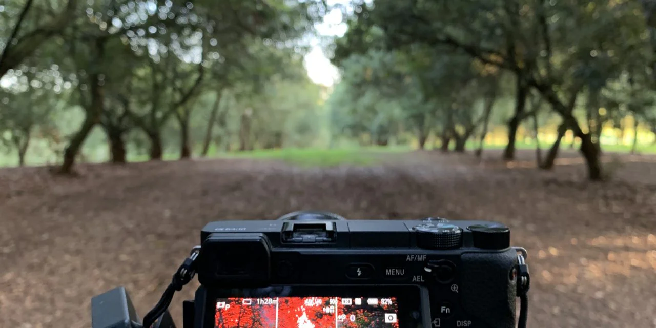012 Social Media Challenge: Something beautiful