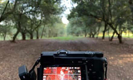 012 Social Media Challenge: Something beautiful