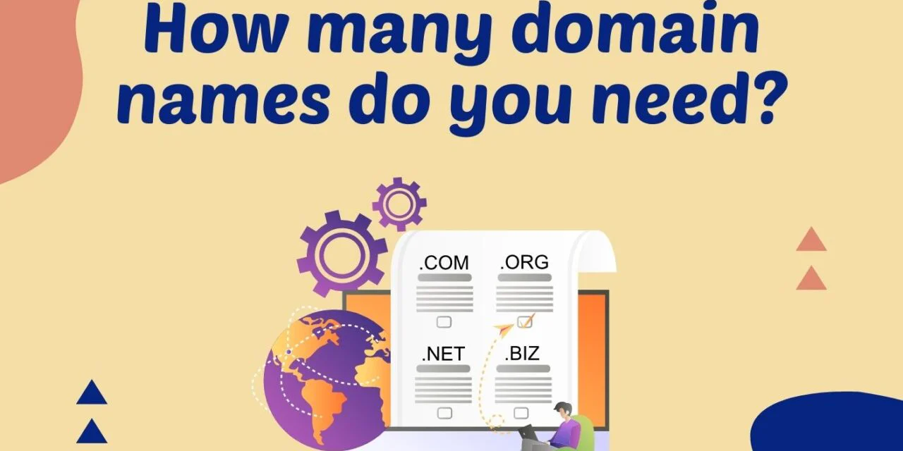 Do I need more than one domain name for my website?
