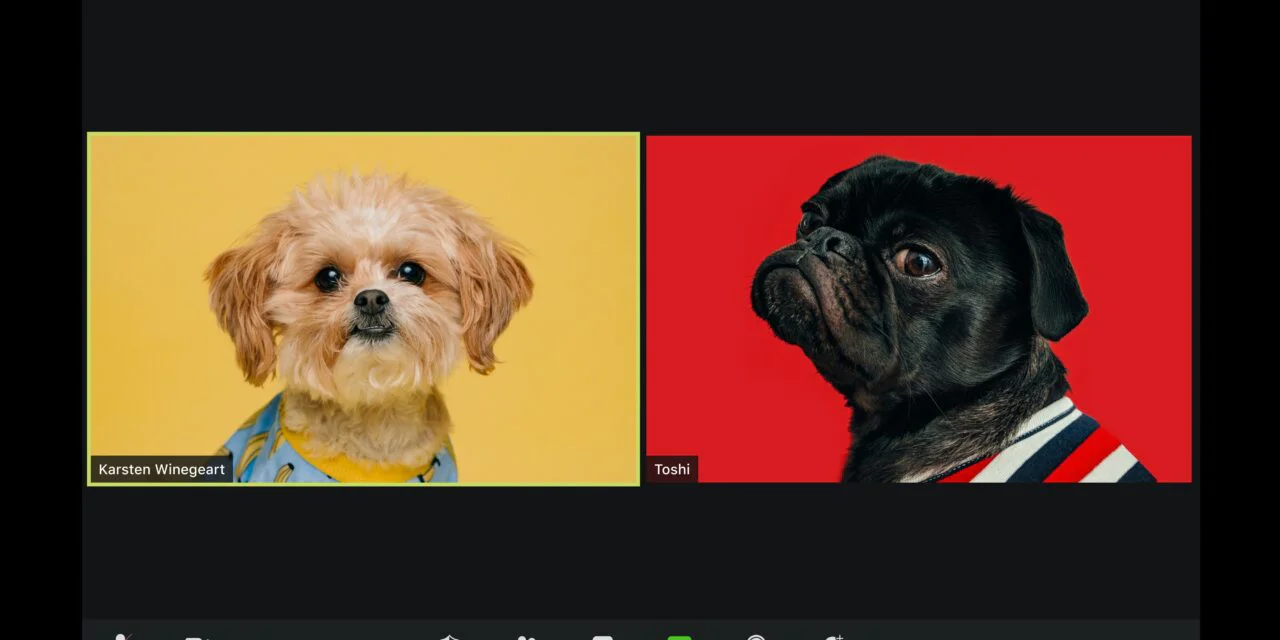 Get AI-generated summaries of your video calls